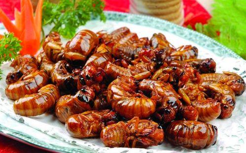 扒鸡最新活动爆料图片,揭秘最新活动亮点,抢鲜体验美味盛宴!